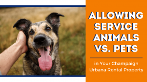 Allowing Service Animals vs. Pets in Your Champaign Urbana Rental Property